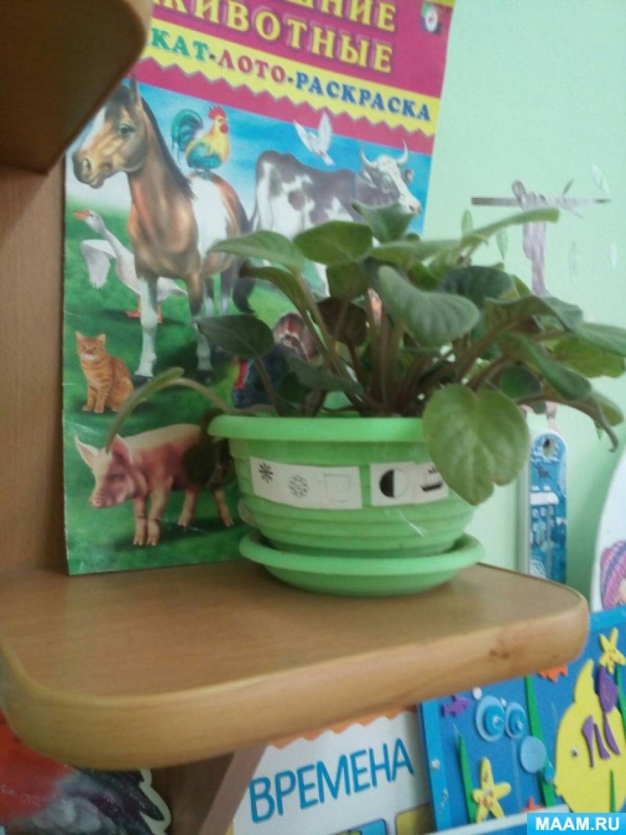 Уголок природы в ясельной группе по фгос что должно быть. Смотреть фото Уголок природы в ясельной группе по фгос что должно быть. Смотреть картинку Уголок природы в ясельной группе по фгос что должно быть. Картинка про Уголок природы в ясельной группе по фгос что должно быть. Фото Уголок природы в ясельной группе по фгос что должно быть Уголок природы в ясельной группе по фгос что должно быть. Смотреть фото Уголок природы в ясельной группе по фгос что должно быть. Смотреть картинку Уголок природы в ясельной группе по фгос что должно быть. Картинка про Уголок природы в ясельной группе по фгос что должно быть. Фото Уголок природы в ясельной группе по фгос что должно быть