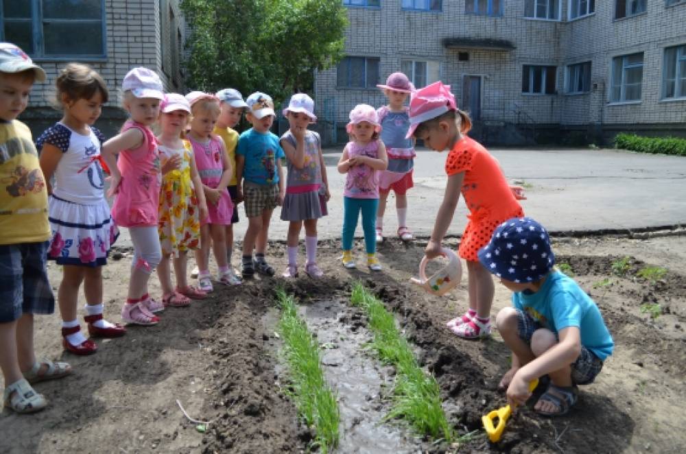 Знакомство С Природой Детский Сад