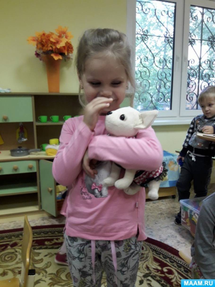 «Домашние животные». Проект в средней группе Фото «Домашние животные». Проект в средней группе