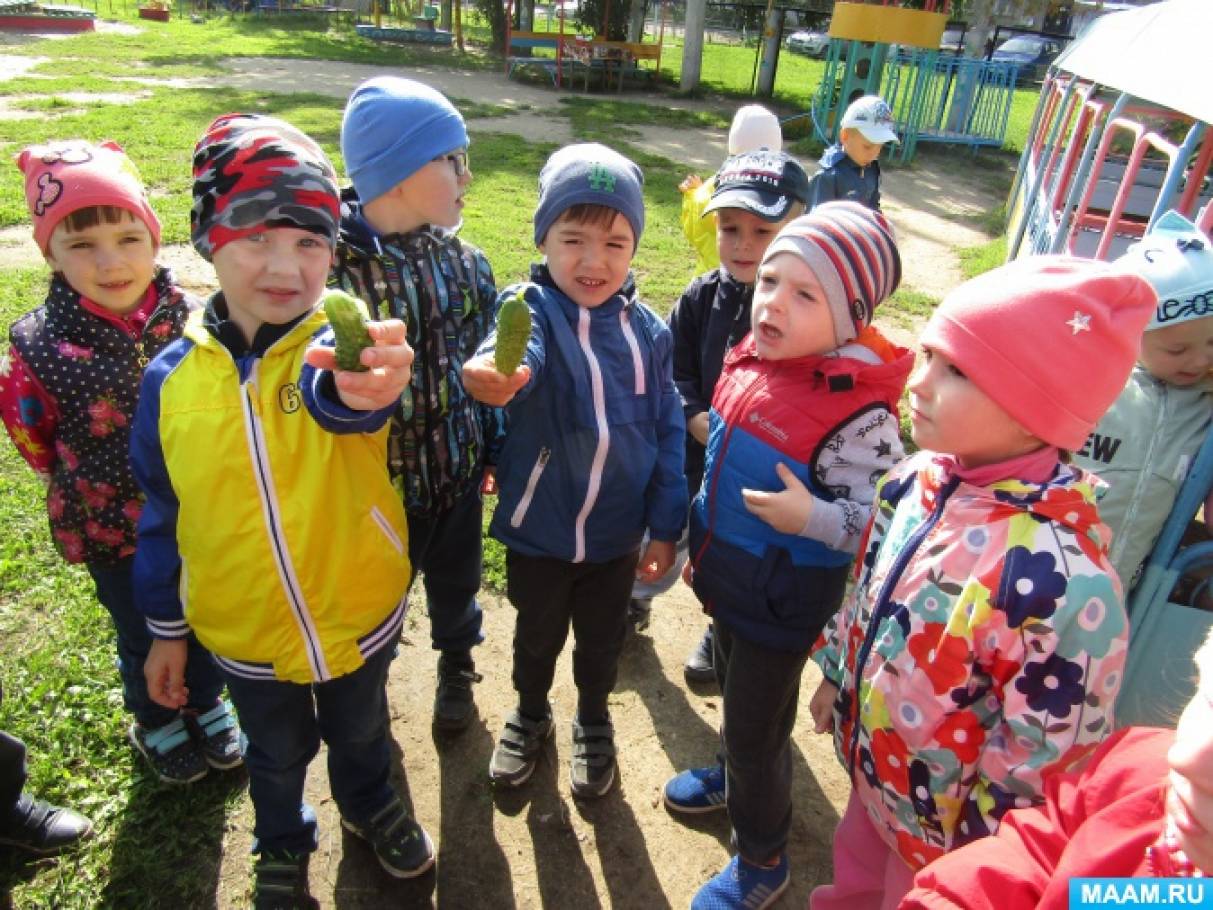 Фото №11 и юные огородники принялись тут же искать дальше