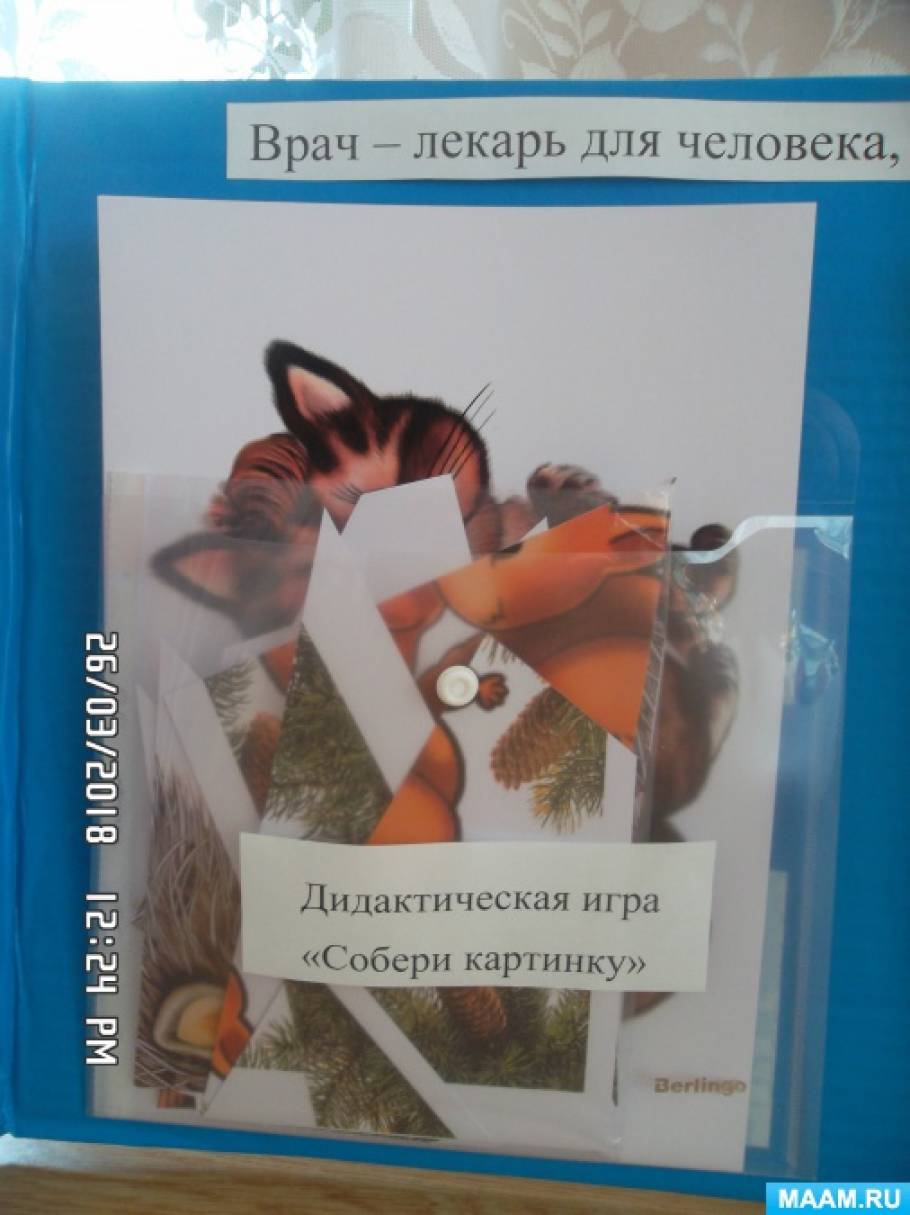 Игра Про Ветеринаров