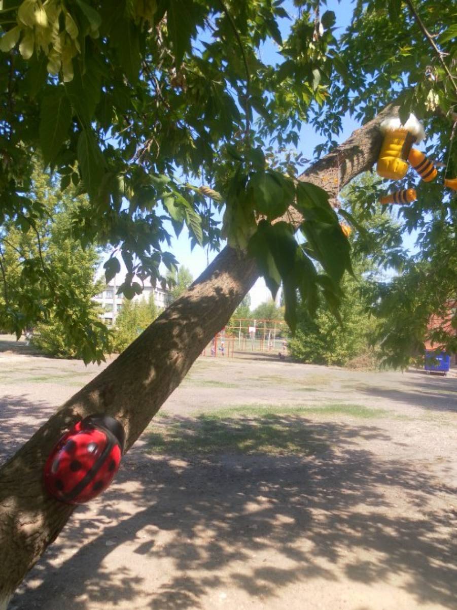 лучший участок детского сада конкурс. Смотреть фото лучший участок детского сада конкурс. Смотреть картинку лучший участок детского сада конкурс. Картинка про лучший участок детского сада конкурс. Фото лучший участок детского сада конкурс