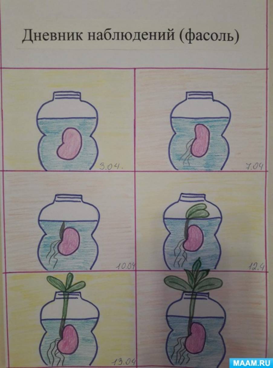 Как сделать дневник природы. Смотреть фото Как сделать дневник природы. Смотреть картинку Как сделать дневник природы. Картинка про Как сделать дневник природы. Фото Как сделать дневник природы Как сделать дневник природы. Смотреть фото Как сделать дневник природы. Смотреть картинку Как сделать дневник природы. Картинка про Как сделать дневник природы. Фото Как сделать дневник природы