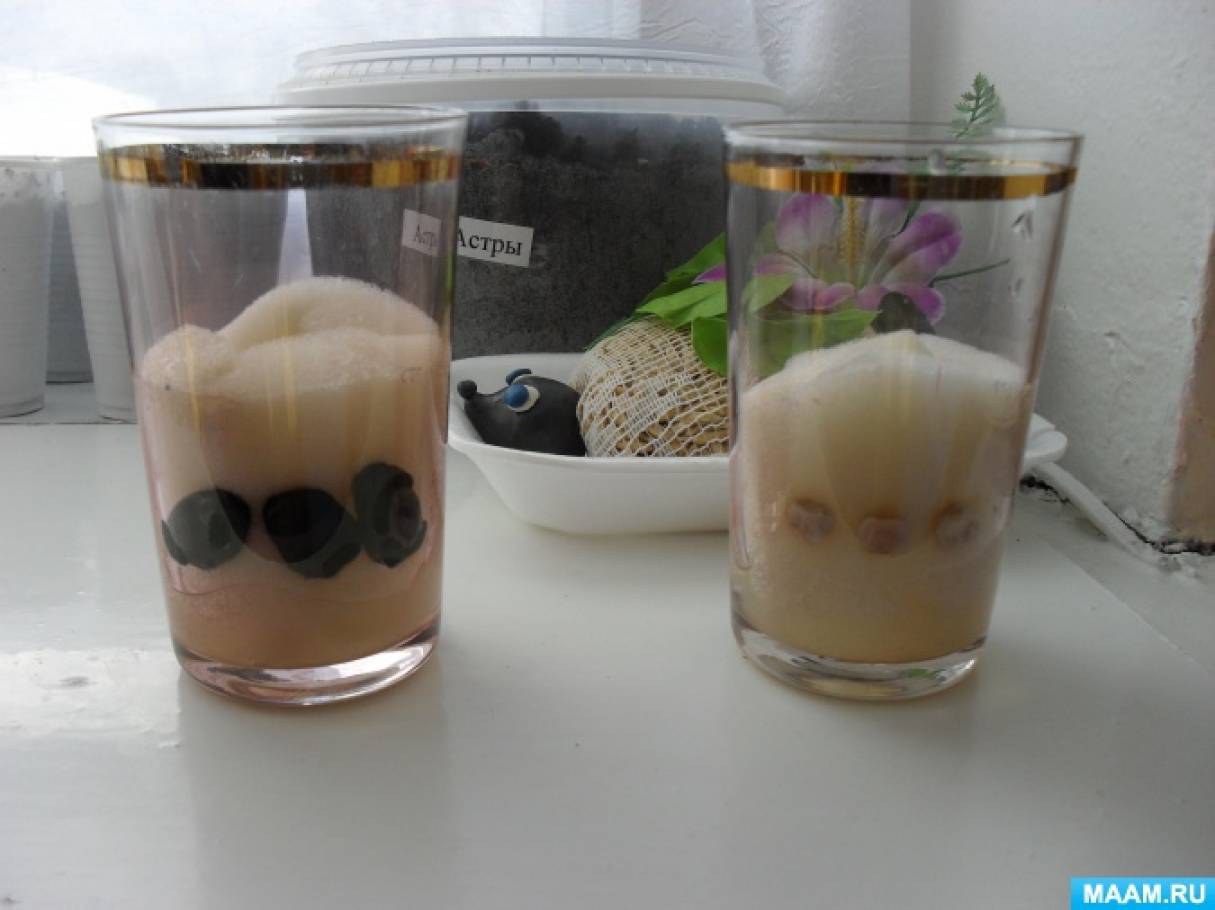 Как сделать дневник природы. Смотреть фото Как сделать дневник природы. Смотреть картинку Как сделать дневник природы. Картинка про Как сделать дневник природы. Фото Как сделать дневник природы Как сделать дневник природы. Смотреть фото Как сделать дневник природы. Смотреть картинку Как сделать дневник природы. Картинка про Как сделать дневник природы. Фото Как сделать дневник природы