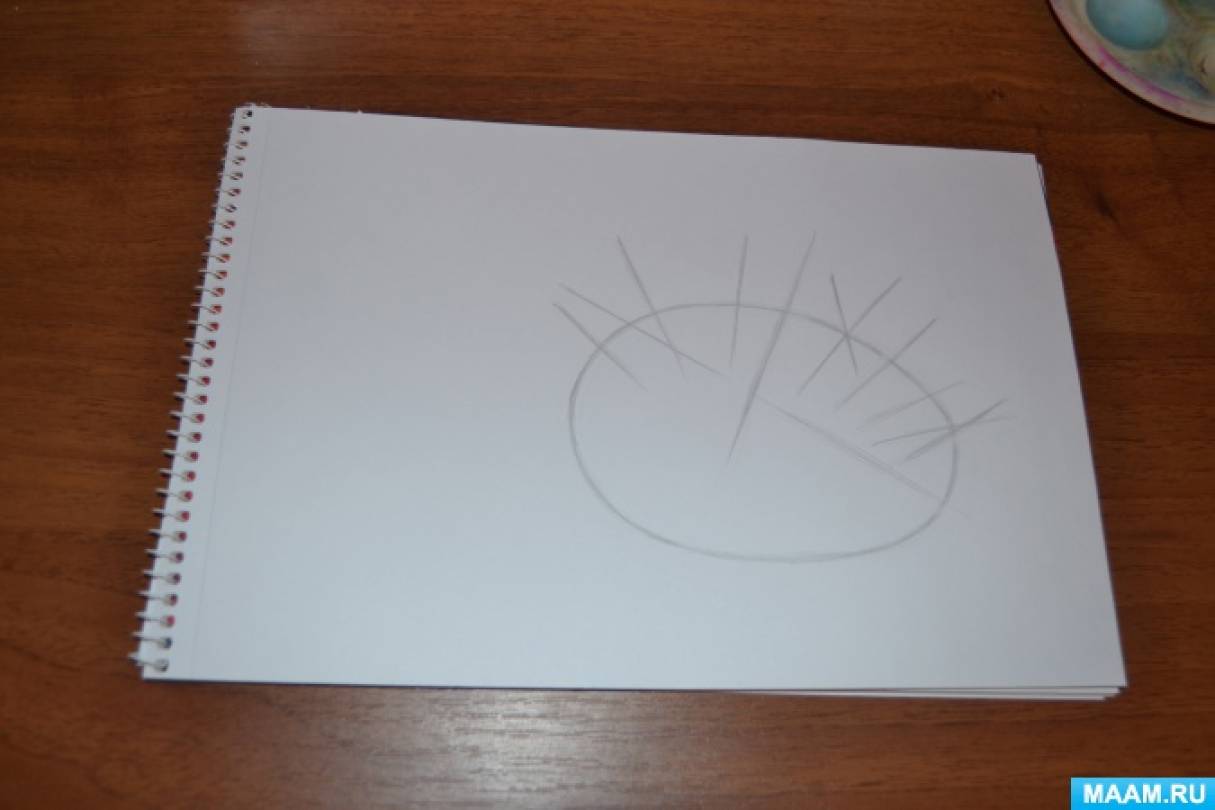 Как нарисовать ежа карандашом поэтапно ребенку 5 лет