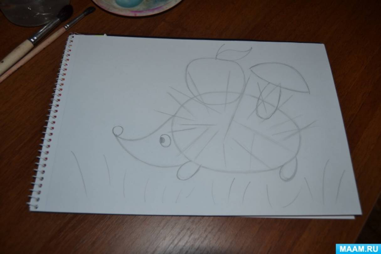 Как рисовать ежика ребенок 4 года