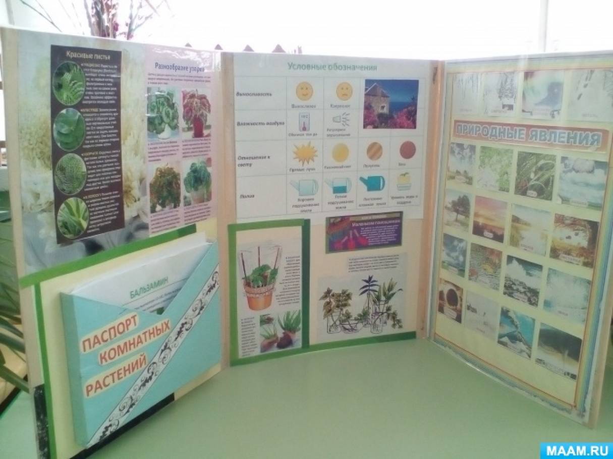 Лэпбук опыты и эксперименты в детском саду. Лэтбуе по экспериментальной деятельности в детском саду. Лэпбук экспериментирование. Лэпбук экспериментирование в детском саду. Лэпбук загадки.