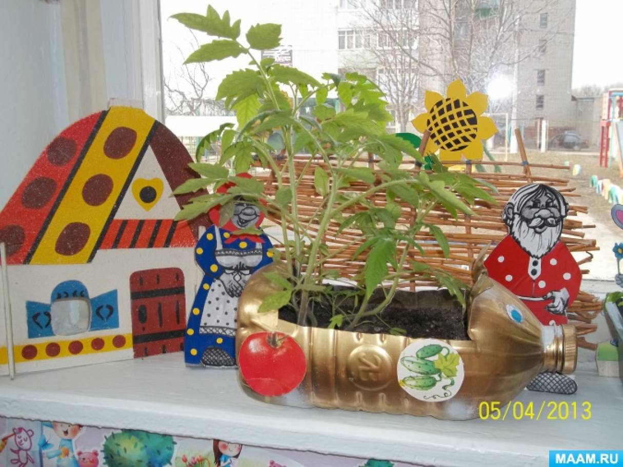 Конкурс сад на окне. Огород на окне. Огород на подоконнике. Огород на окне в детсаду. Огород на подоконнике в детском саду.