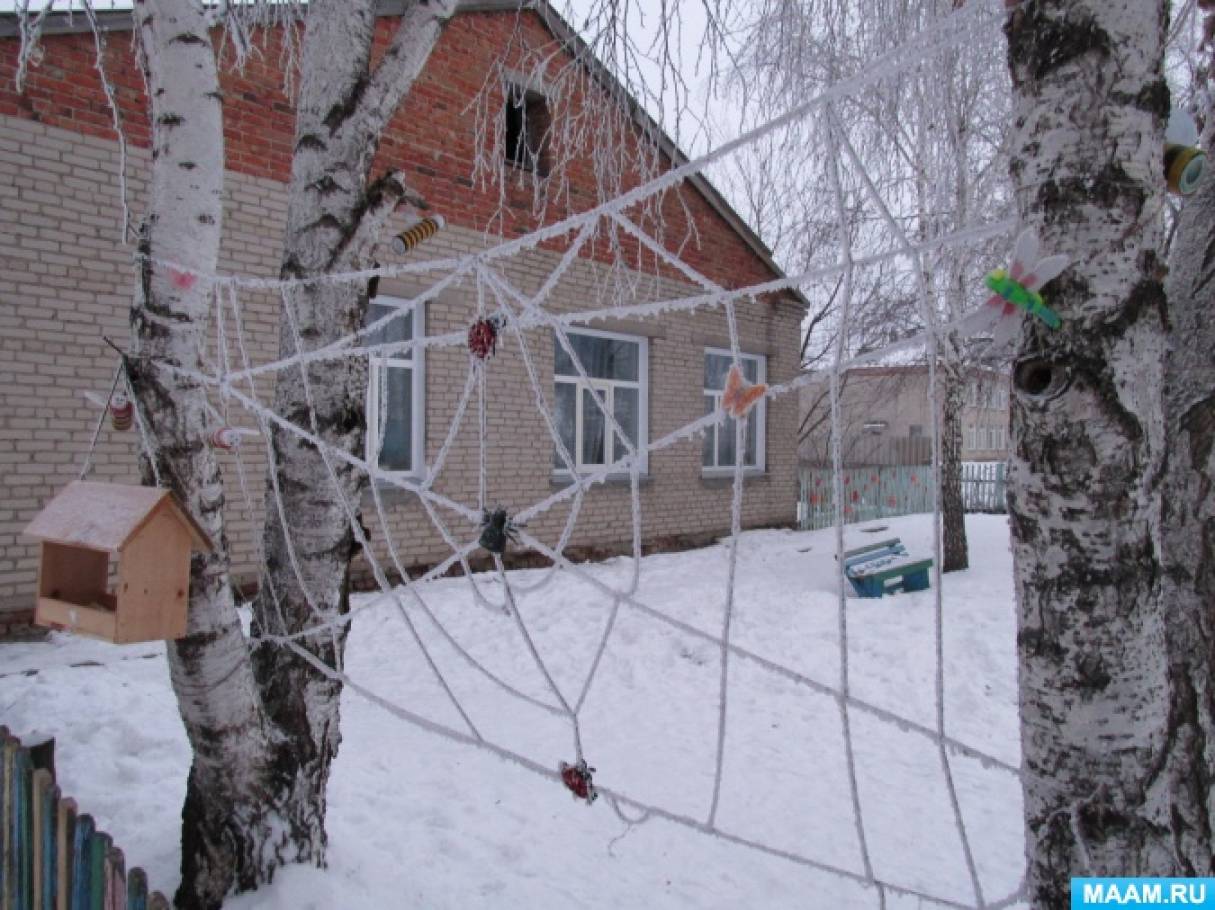 Фотоотчет «Зимние прогулки» Фото Фотоотчет «Зимние прогулки»