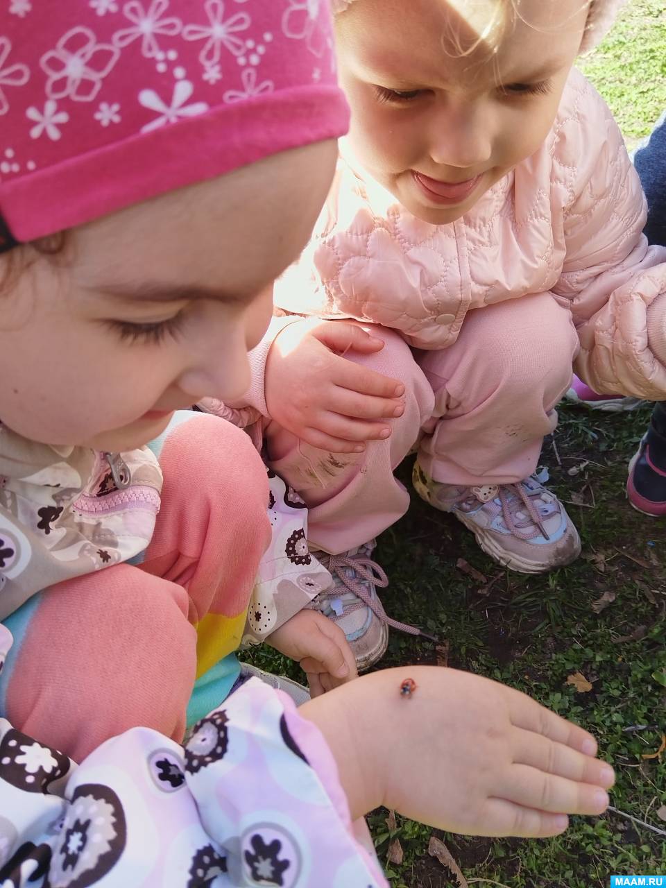 Смотреть фотографию №2 Фото №2 Малыши второй младшей группы очень любознательны
