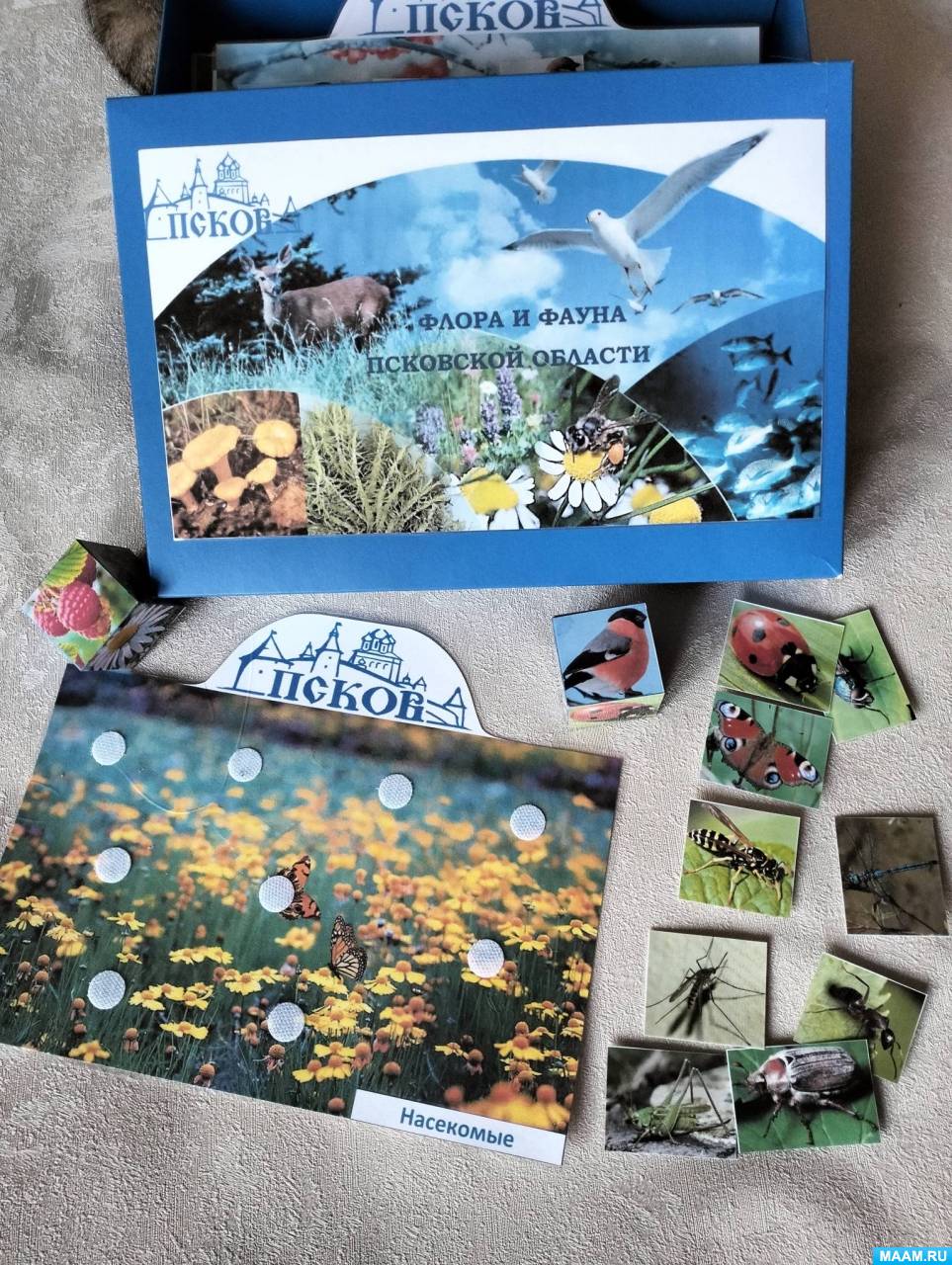 Дидактическая игра «Флора и фауна Псковской области» (4 фото ...