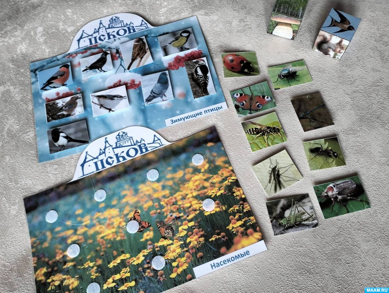 Дидактическая игра «Флора и фауна Псковской области» (4 фото ...