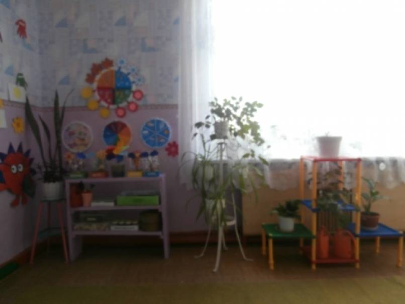 Оформление детского сада. Предметно-развивающая среда «Уголок природы» Фото Оформление детского сада. Предметно-развивающая среда «Уголок природы»