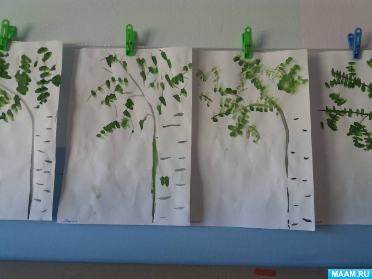 Рисование русская березка в подготовительной группе. Занятие береза. Рисование березы в средней группе. Береза из бумаги. Занятие береза.