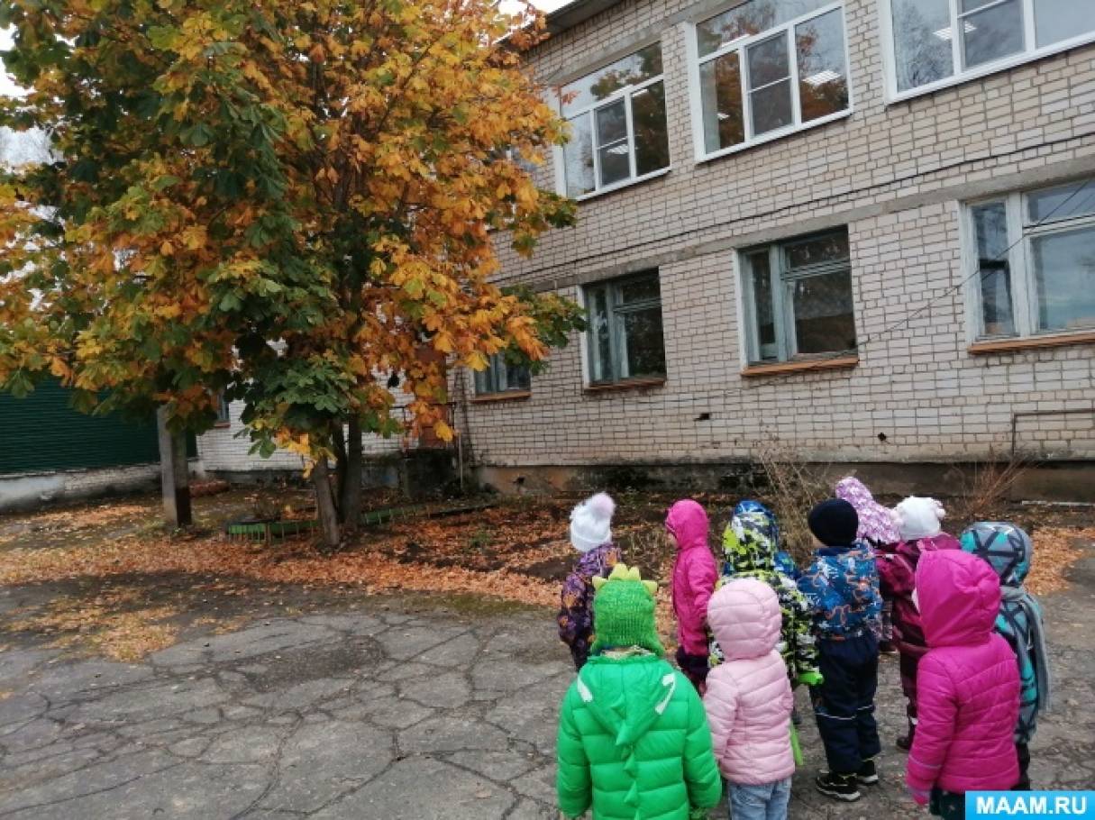 Фотоотчет «Экскурсия к каштану»