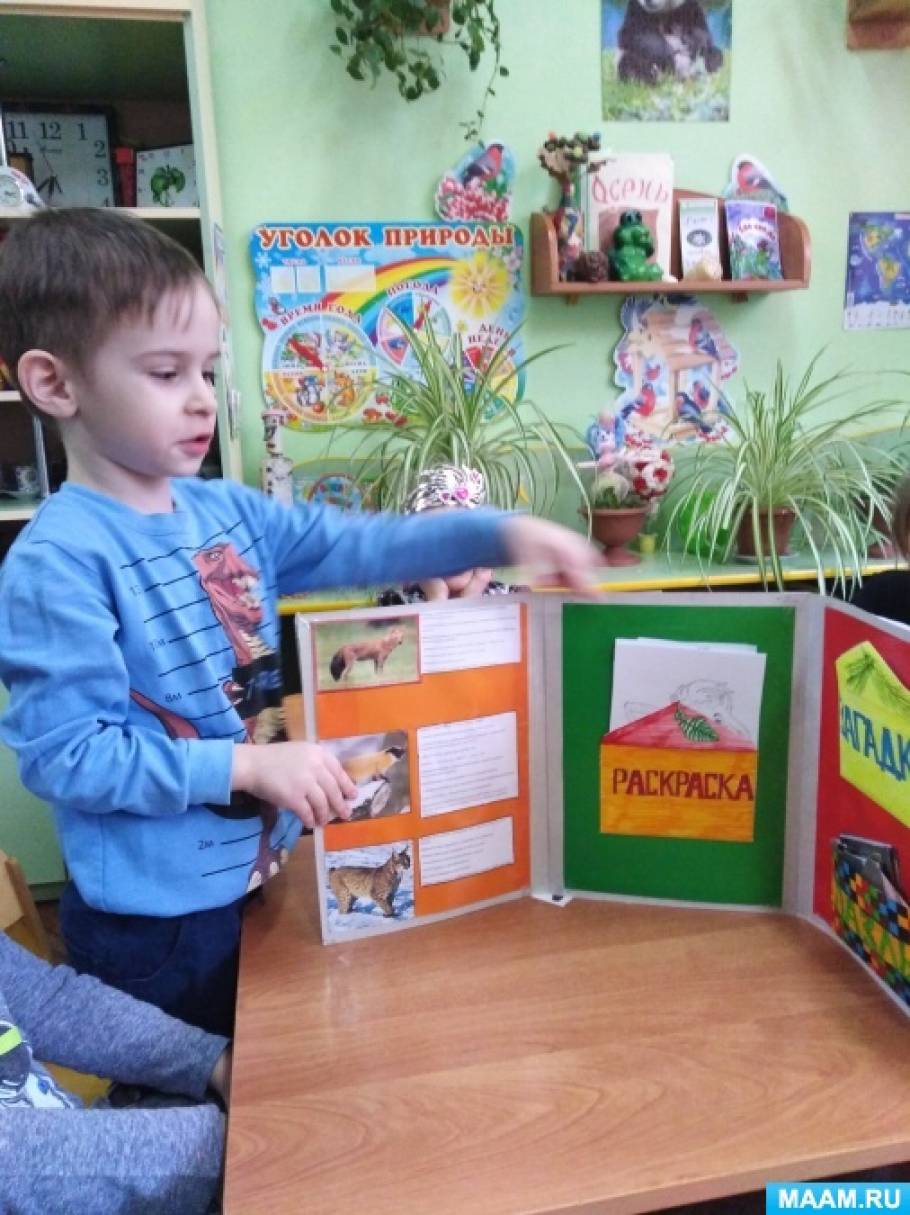 Лэпбук «Редкие животные Амурской области» (Познание. Ознакомление с окружающим) старшая группа Фото Лэпбук «Редкие животные Амурской области» (Познание. Ознакомление с окружающим) старшая группа