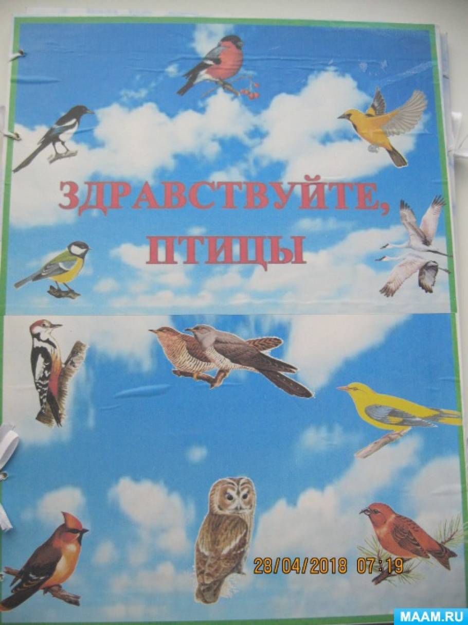 Лэпбук «Здравствуйте, птицы»