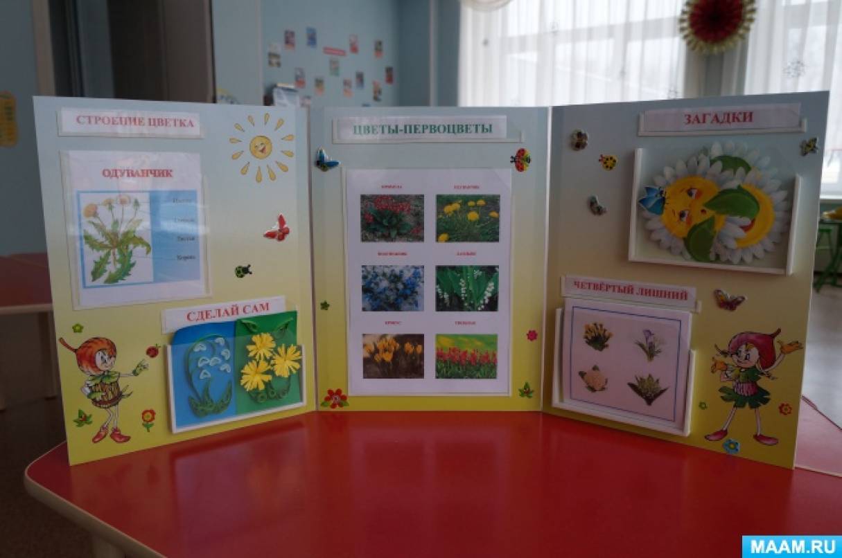 Лэпбук по экологии для детей старшего дошкольного возраста «Цветы-первоцветы»