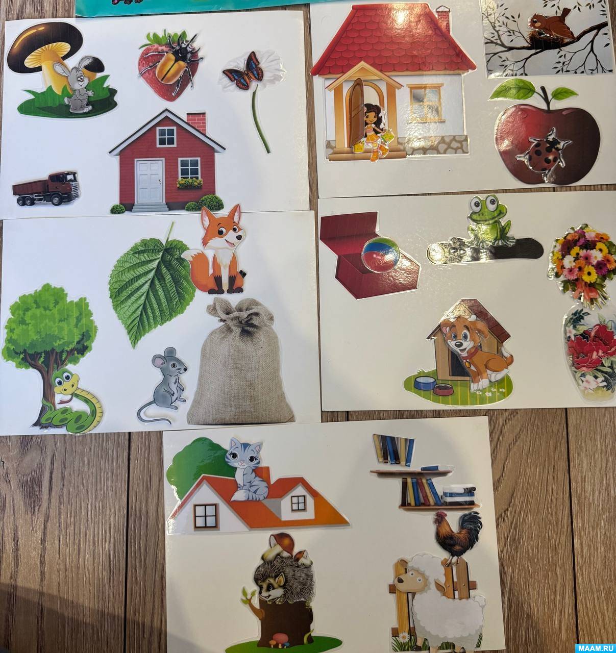 ������������� ���� ���������-���������