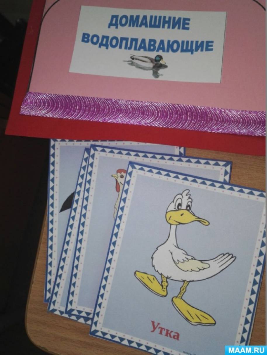 Лэпбук «Птицы» (5 фото). Воспитателям детских садов, школьным учителям ...