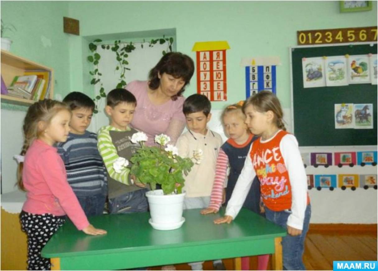 ������� ������ �� �������