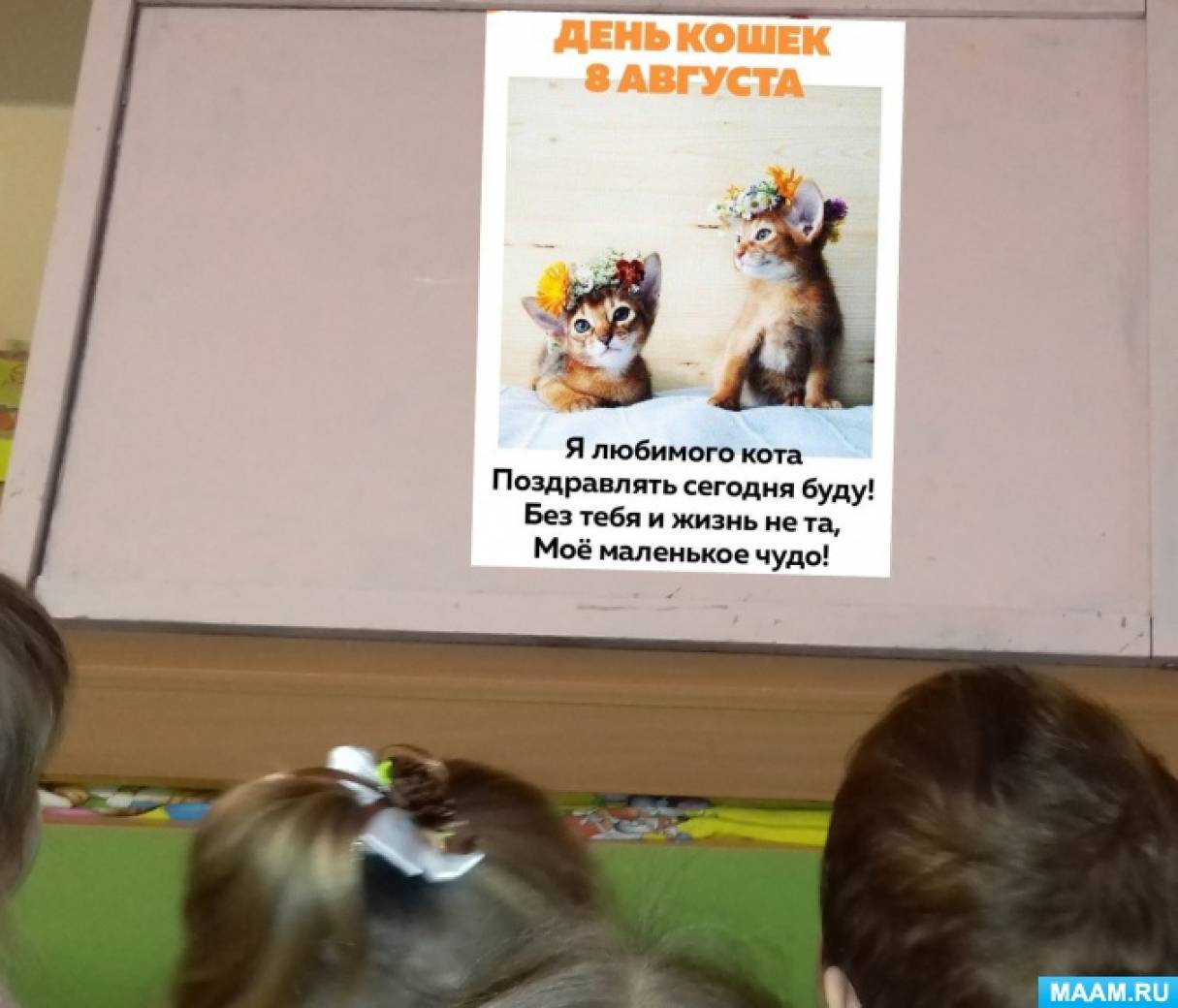 Фотоотчет «Всемирный день кошек» Фото Фотоотчет «Всемирный день кошек»