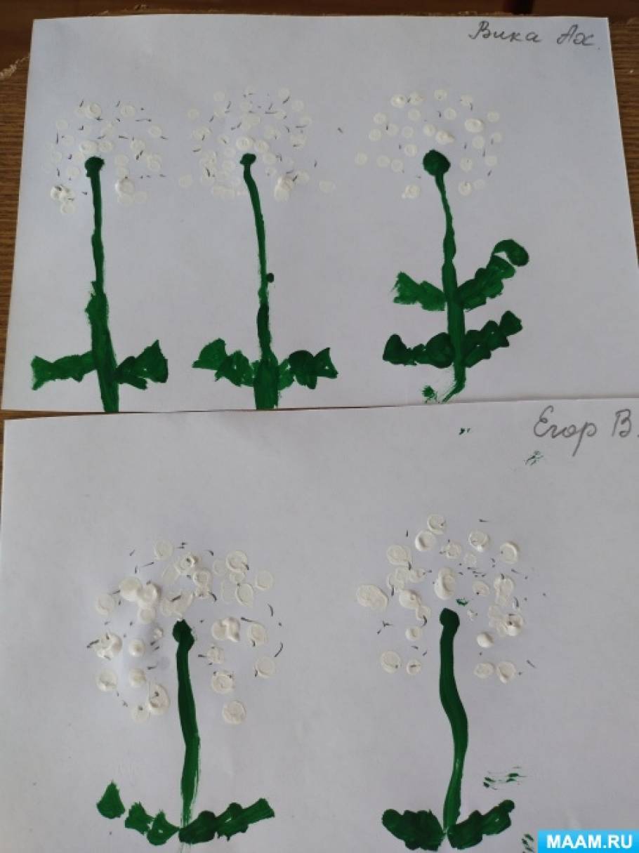Одуванчики рисунок средняя группа