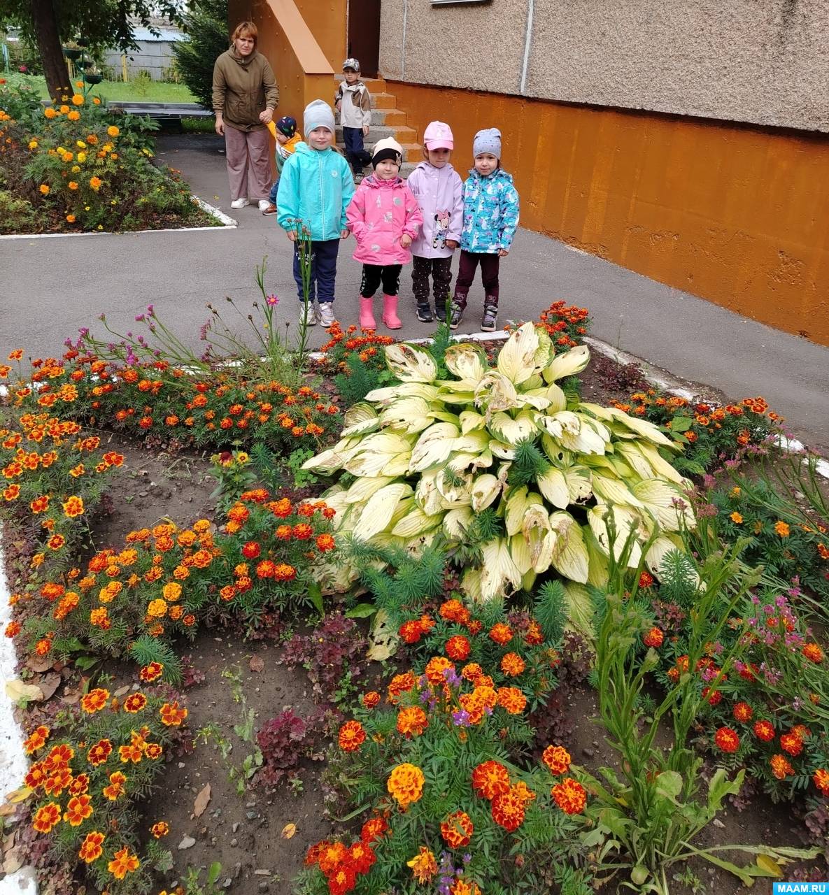 ��������� � �������� ������ �������� ���� � ������ ������� ������ �� ����� �����, � ������� ����� ����� ����������� ��������