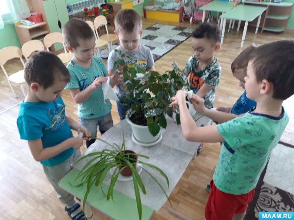 Занятие в старшей группе лекарственные растения. Полевые и садовые цветы. Растения в младшей группе. Цветы задания для дошкольников. Ухаживание за растениями в детском саду.