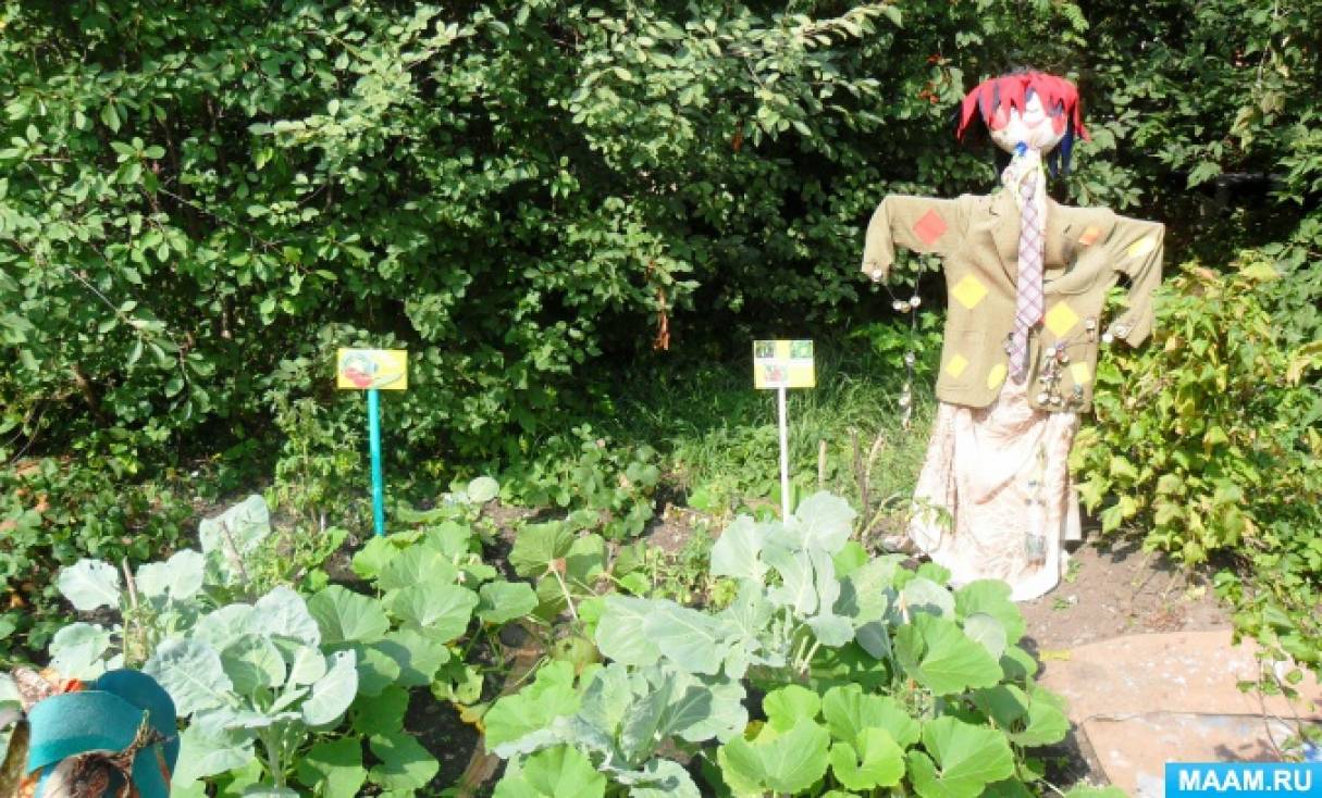 с чем отделить в детском саду участки. Смотреть фото с чем отделить в детском саду участки. Смотреть картинку с чем отделить в детском саду участки. Картинка про с чем отделить в детском саду участки. Фото с чем отделить в детском саду участки с чем отделить в детском саду участки. Смотреть фото с чем отделить в детском саду участки. Смотреть картинку с чем отделить в детском саду участки. Картинка про с чем отделить в детском саду участки. Фото с чем отделить в детском саду участки