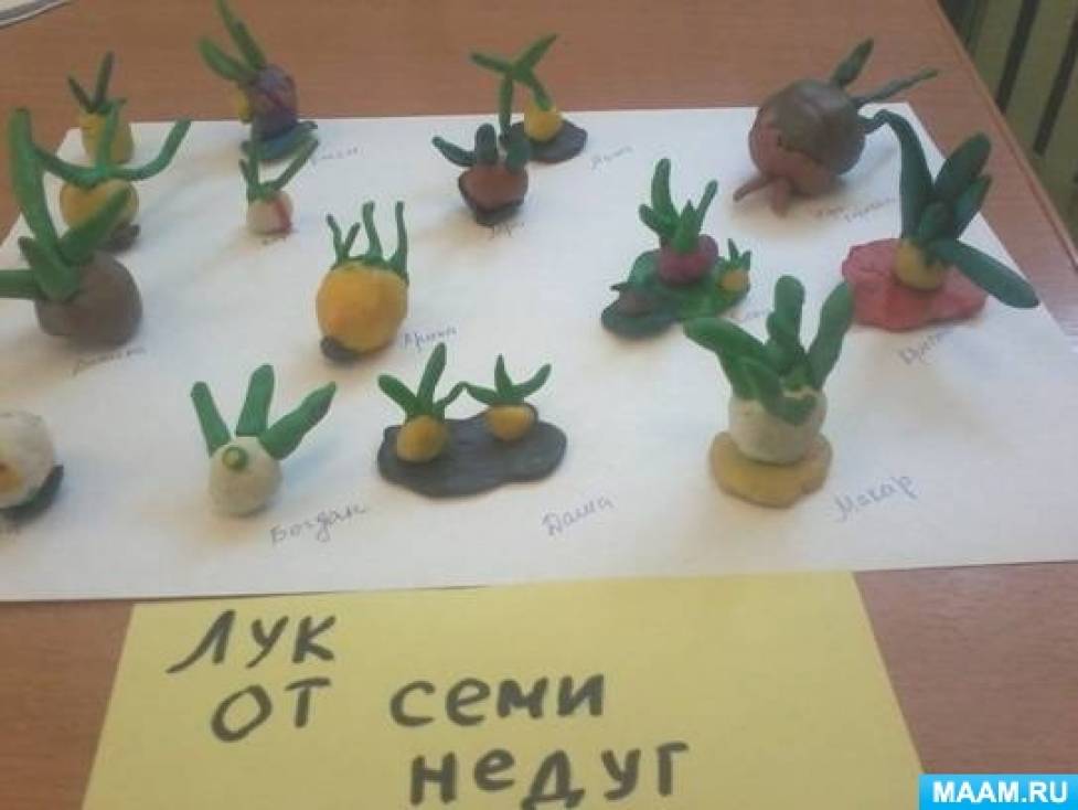 Лук лучок проект в младшей группе