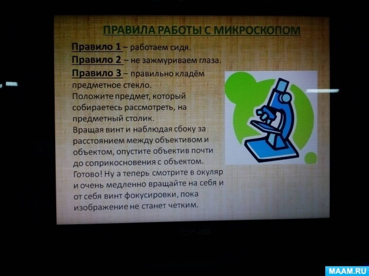 Для чего нужен микроскоп 3 класс окружающий. Смотреть фото Для чего нужен микроскоп 3 класс окружающий. Смотреть картинку Для чего нужен микроскоп 3 класс окружающий. Картинка про Для чего нужен микроскоп 3 класс окружающий. Фото Для чего нужен микроскоп 3 класс окружающий