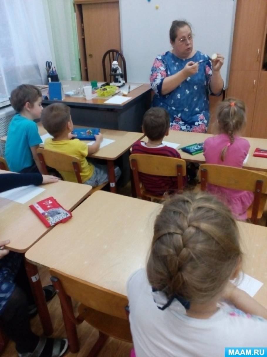 Как объяснить ребенку что такое клетка. Смотреть фото Как объяснить ребенку что такое клетка. Смотреть картинку Как объяснить ребенку что такое клетка. Картинка про Как объяснить ребенку что такое клетка. Фото Как объяснить ребенку что такое клетка