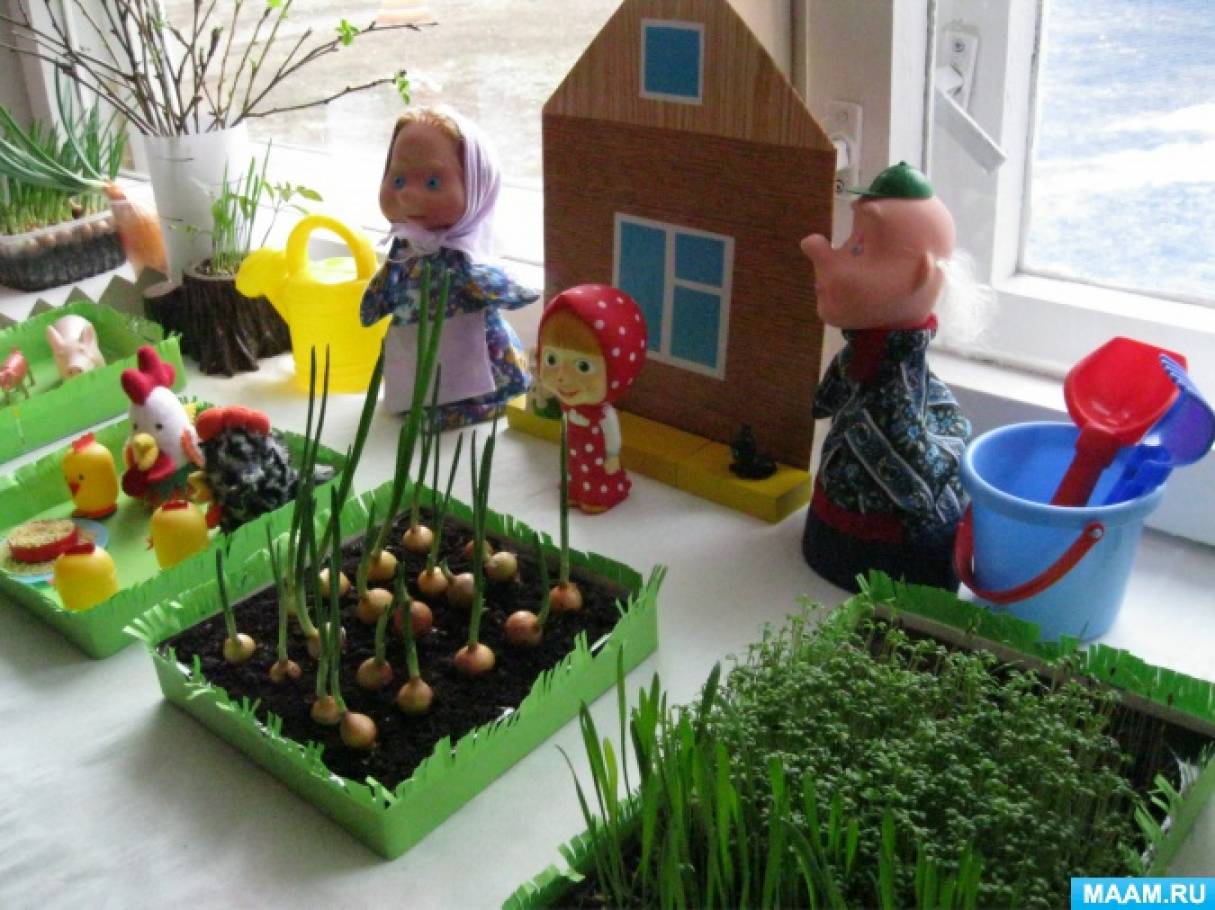 Веселый огород на окне. Детский огород в детском саду. Огород на окне в саду. Огород на окне в детсаду. Огород на подоконнике детсад.