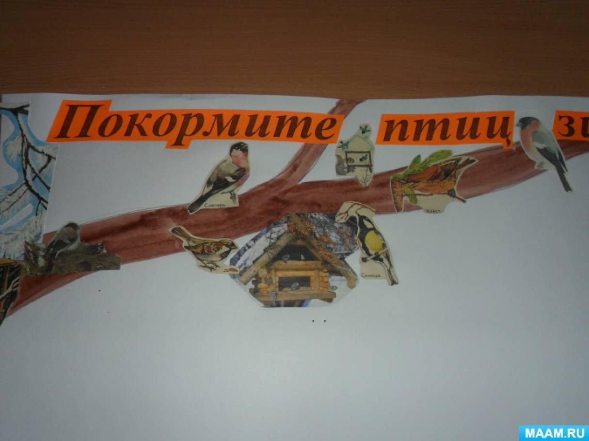 Как сделать стенгазету про птиц