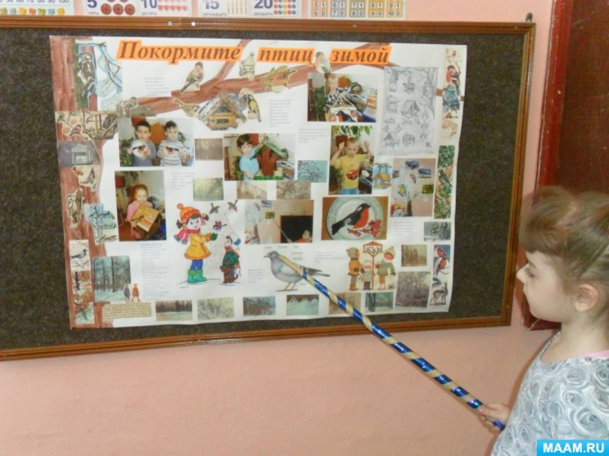 Как сделать стенгазету про птиц