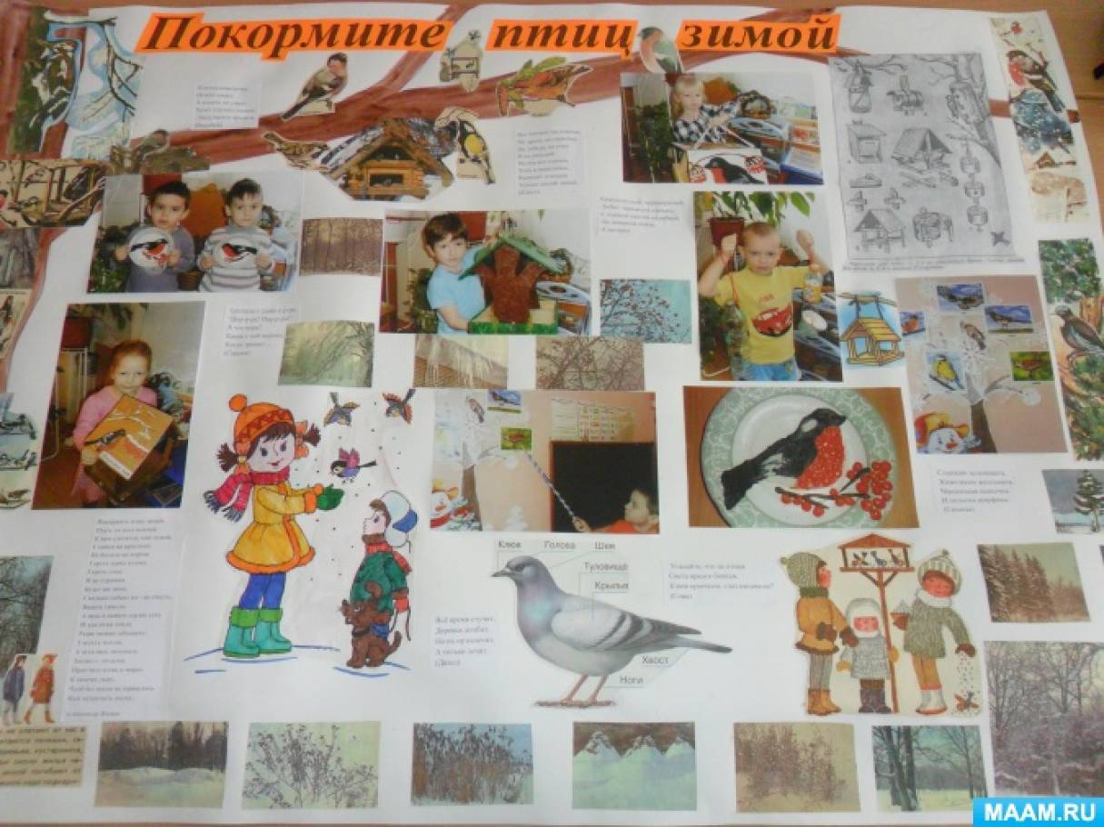 Фото №13 Проект Я выбираю доброжелательность долгосрочный