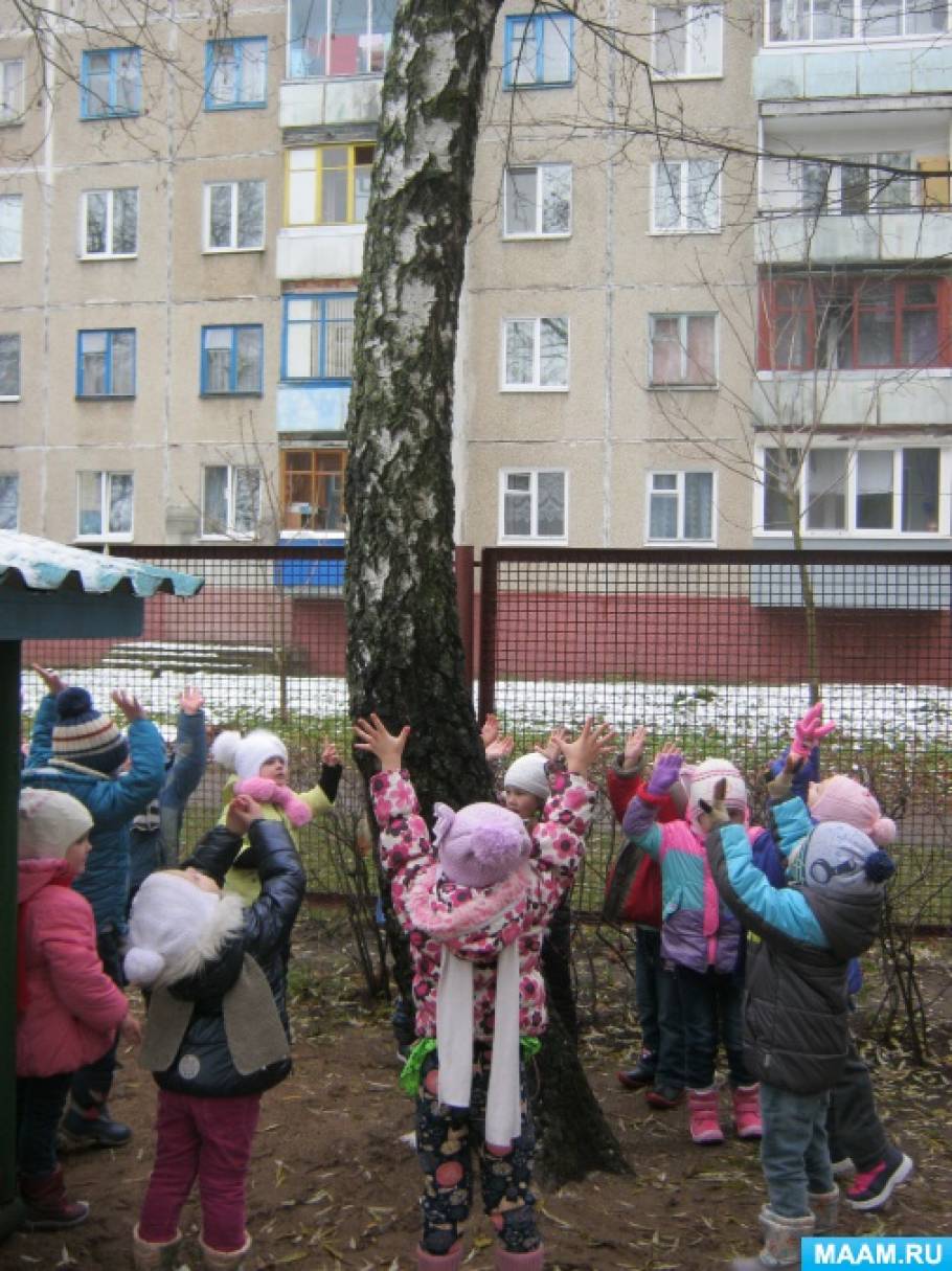 Сценарий развлечения в средней группе «Царство природы в стране Неболейка» Фото Сценарий развлечения в средней группе «Царство природы в стране Неболейка»