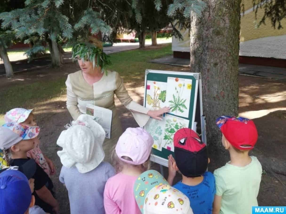 Конспект занятия в средней группе «Травница в гостях у ребят» к Дню ...