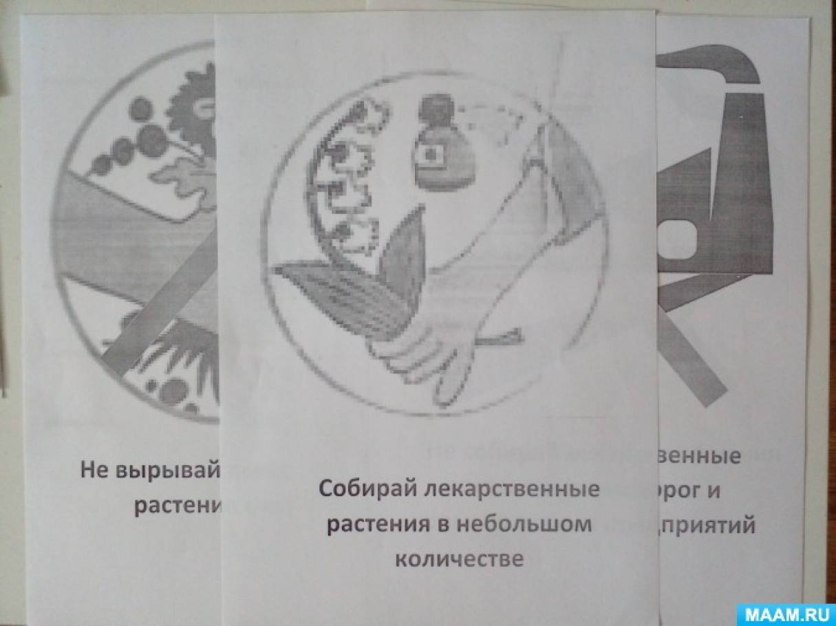 Конспект занятия в средней группе «Травница в гостях у ребят» к Дню ...