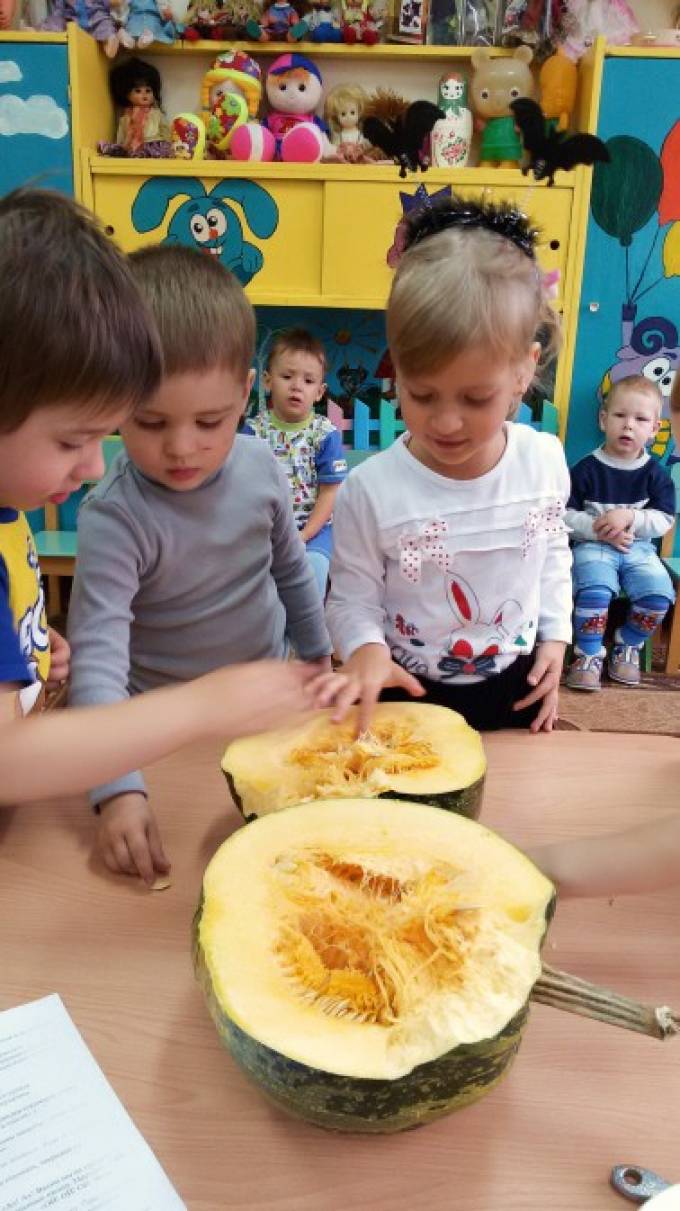 НОД по лепке «Тыква — кладезь витаминов» во второй группе раннего возраста Фото НОД по лепке «Тыква — кладезь витаминов» во второй группе раннего возраста