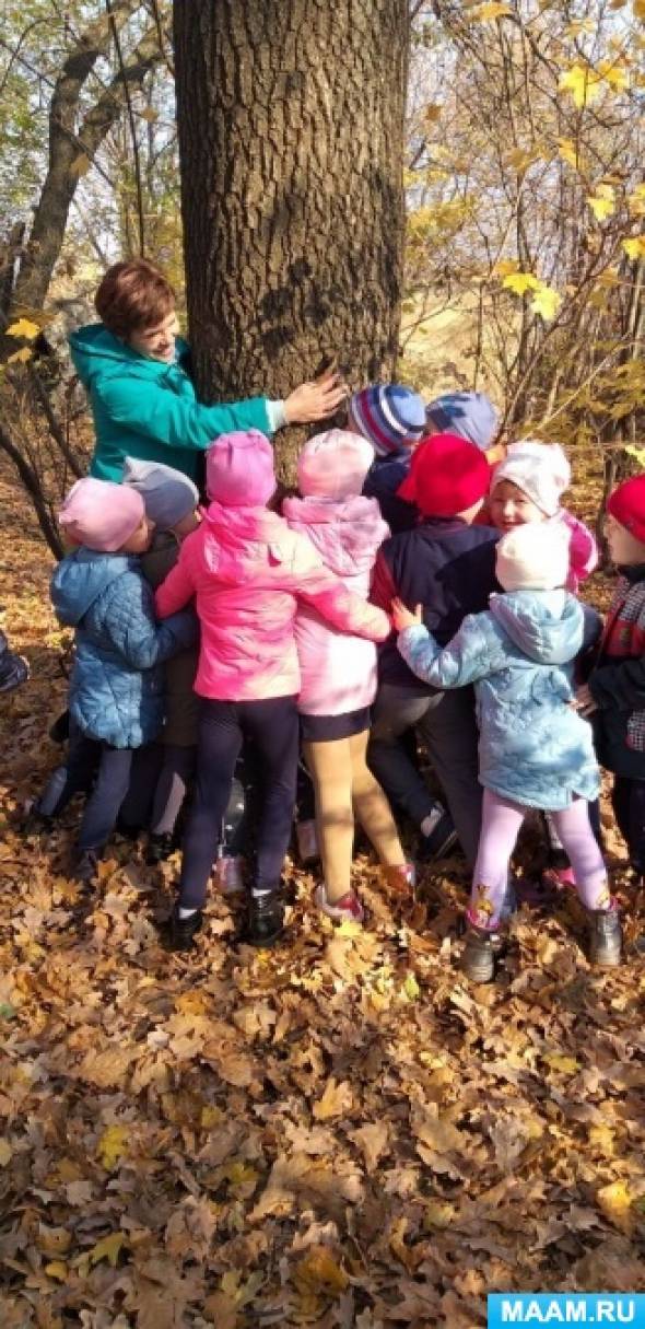 Фото №2 Все конспекты Конспект экскурсии в осенний лес в старшей группе