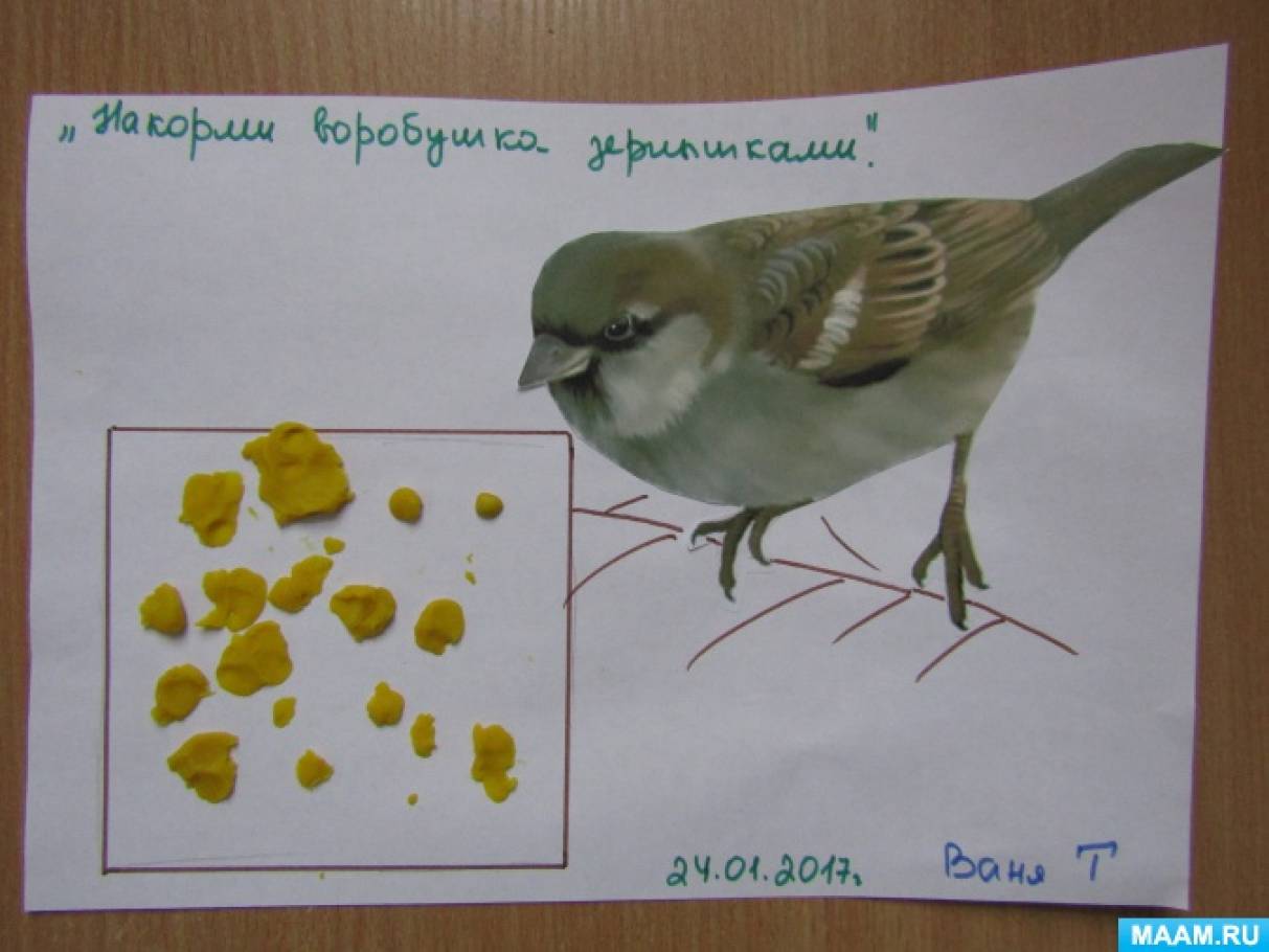 лепка воробышек и кот младшая группа. лепка в младшей группе воробушки и кот. воробушки вторая младшая группа. воробушки вторая младшая группа. воробей рисунок детский.