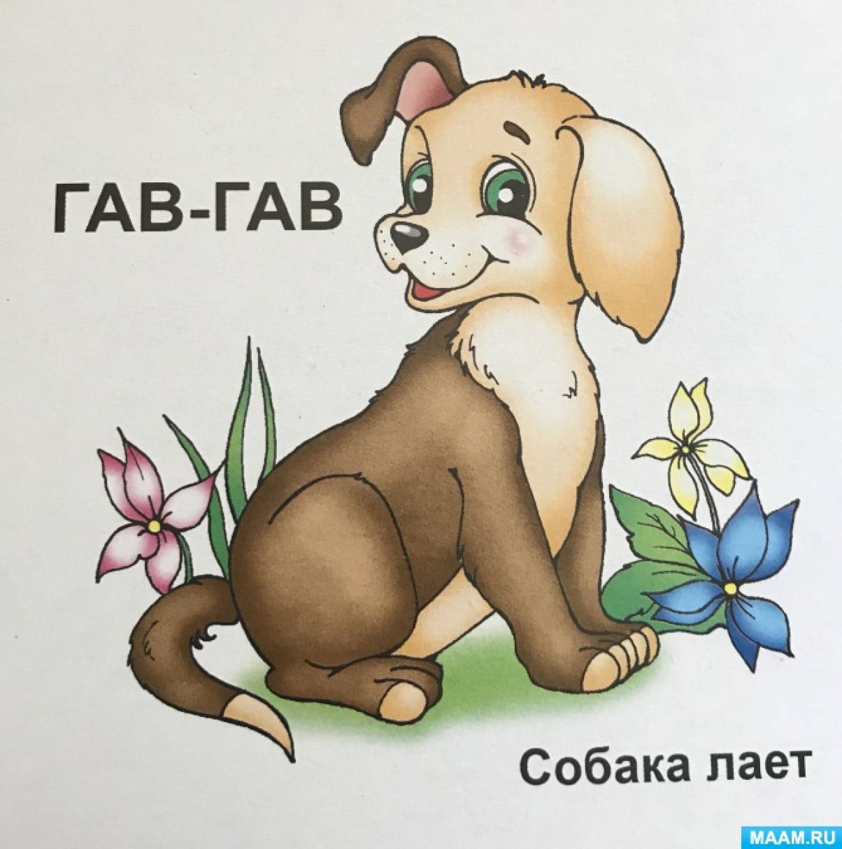 Гав без но картинка
