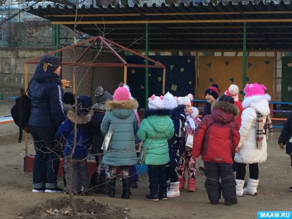 фотосессия в детском саду на прогулке. площадка в детском саду. подвижные игры. тропинка здоровья в детском саду. оздоровительные прогулки в детском саду.