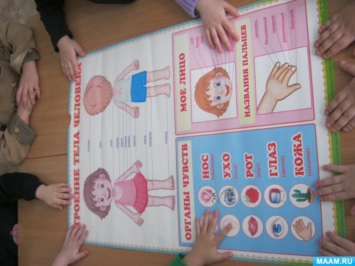 Электронная настольная игра «Я — доктор» (15 фото). Воспитателям ...