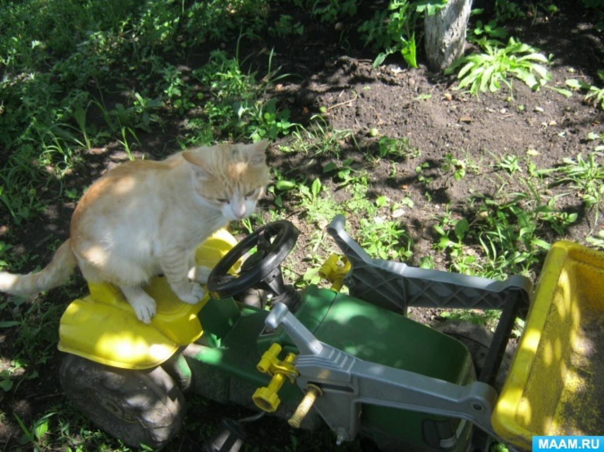 ��������� ������� � ������ � �����