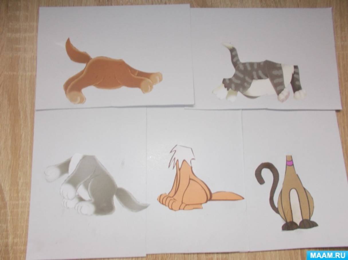 Игра собери котиков