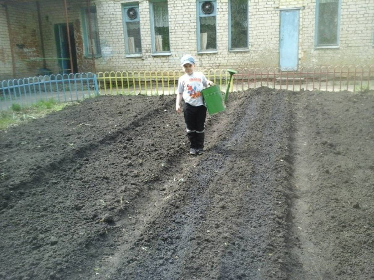 Смотреть фотографию №8 Фото №8 Сажать надо аккуратно и ровно