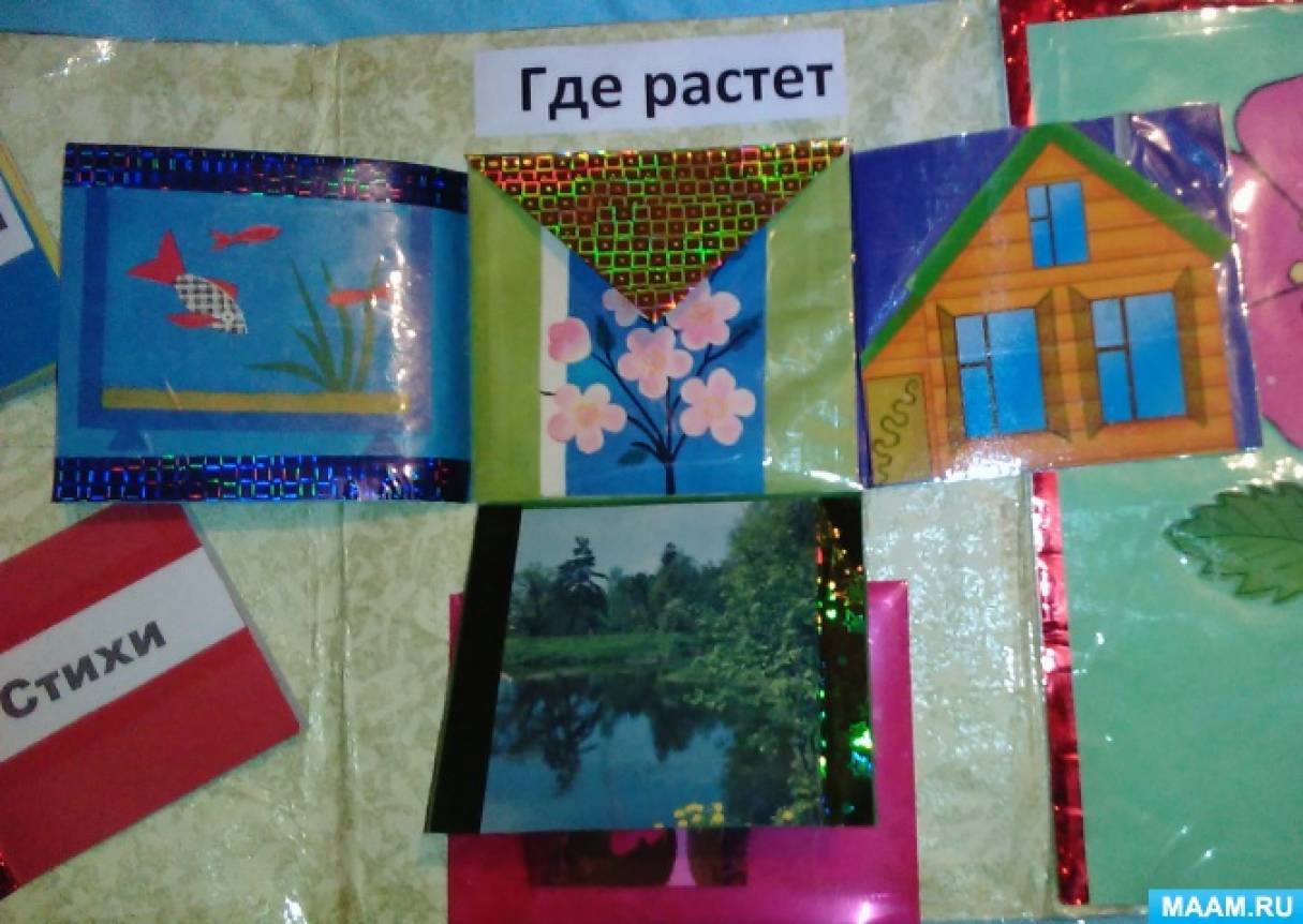 Смотреть фотографию №1 Фото №1 Цель воспитывать интерес к растениям родного края